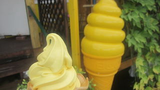 夏はかぼちゃソフトがお勧めです