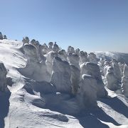 念願のスノーモンスターを見ることができました。