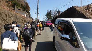 旧甲州街道沿いに点在する梅林