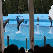 新しい試みもされた最新の水族館