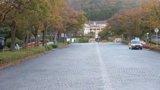 登る時の景色がきれい