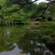 立派な庭園