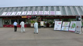 バラ園は圧巻、四季折々の花が楽しめる