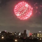 東京の夏を飾る