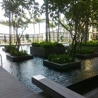 木漏れ日のプール