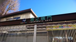 上野動物園の裏口