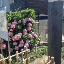 碑と説明板の様子です。