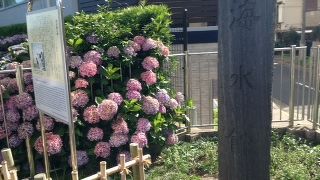 最初は何の碑か分かりませんでした。