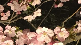 舞浜駅からすぐです