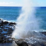 間隔も短く、高く吹き上がります