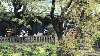 樹木に覆われたお堂です。