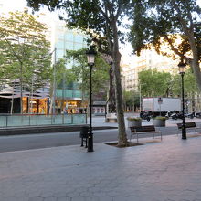 早朝のグラシア通り。