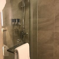 シャワーしかない部屋でした