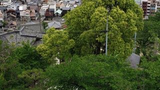 瀬戸内海が見えます