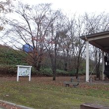 背後は振り子特急「スーパーおおぞら」