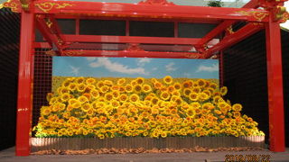 急ピッチで改装中