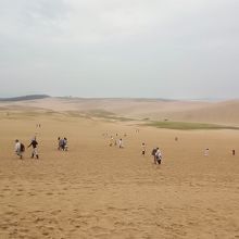 鳥取砂丘全容
