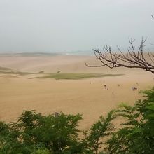 砂丘の向こうには日本海が見える