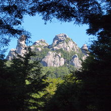 登山道から見た頂上