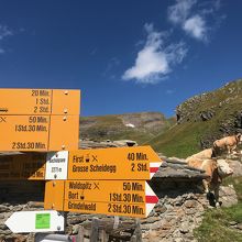 避難小屋 ?の前でルートが分岐します