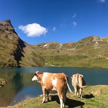 右の湖は人気がない