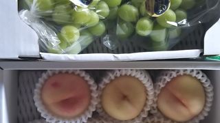 この時期はフルーツが盛りだくさん