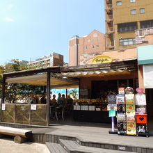 道後温泉本館すぐ斜め前！