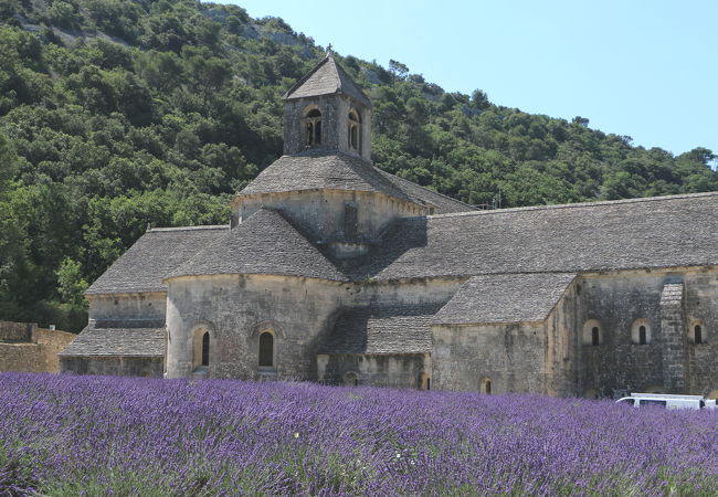 南仏プロヴァンスを象徴する風景