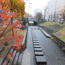 整備された公園の感じ。