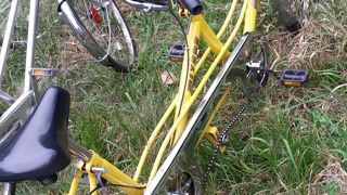 連休は混んでます！