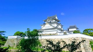 午前中が順光で美しいです