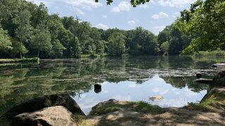 落ち着いている