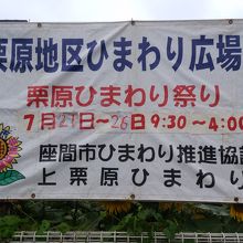 ひまわり広場