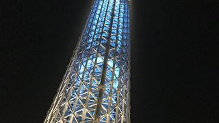 登ることができなかった！