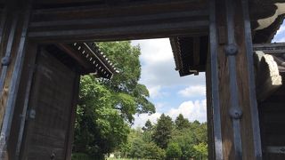 御所の夏、近くに素敵なカフェも有ります