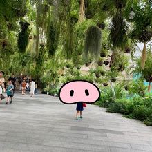 インスタスポット