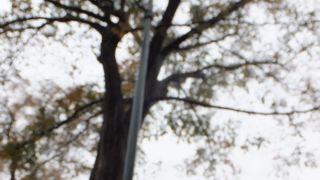 北大の中の名所のひとつ。