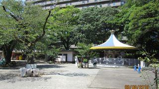 三島駅前のあまりに広い庭園に驚いた。