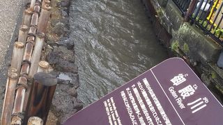 三島の街を流れる