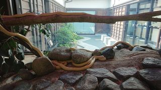 現在は岩国シロヘビの館と言う名称です!!