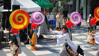 名古屋の暑い盛りに熱く踊りまくる祭