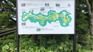 徳島市街地が一望できます