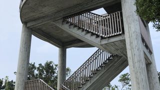 遊歩道を歩いて登りました