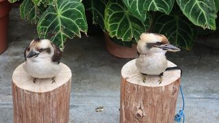 その名の通り、花と鳥の楽園 ♪