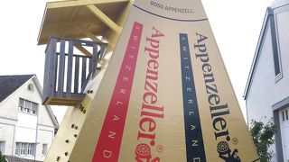 チーズの製造工程が見られるのが楽しい