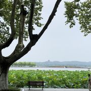 晴れても雨でも美しい