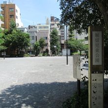 西側出入口からの様子