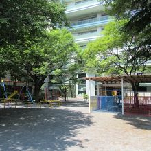 遊具や砂場の様子