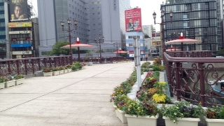 この橋の上の表情は、とてもエネルギッシュ