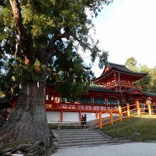 思ったよりこぢんまり